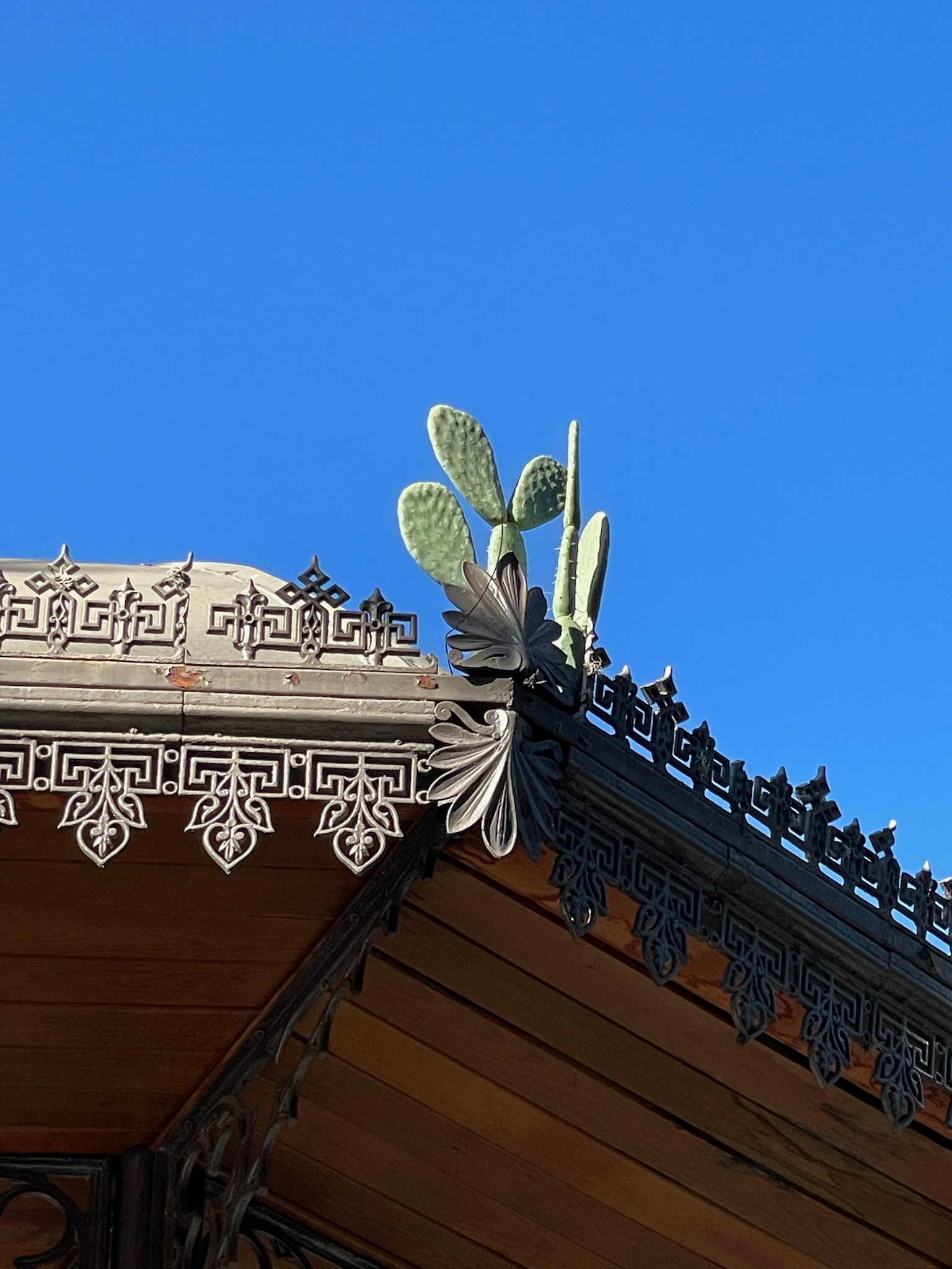Kaktusmotiv på tradisjonelt meksikansk tak