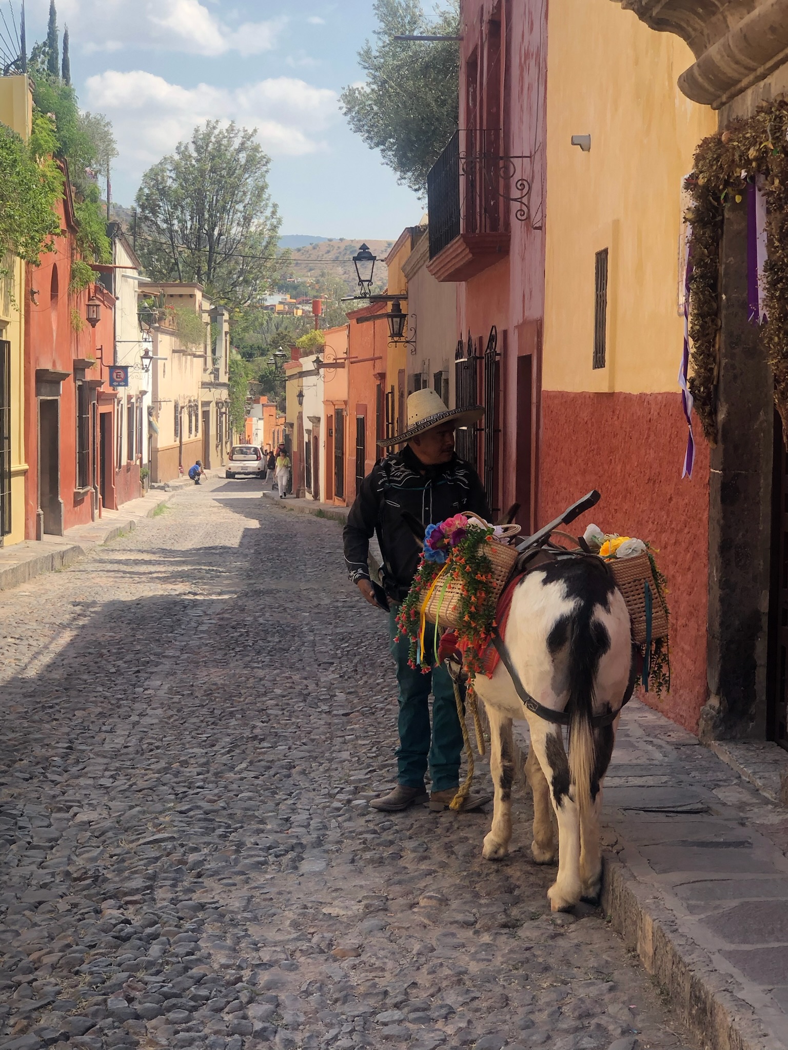 Pyntet hest på fargerik meksikansk gate